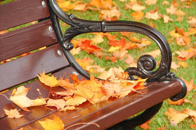 Garden bench in autumn image by Elina (via Shutterstock).